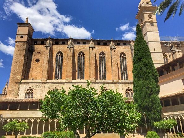 1 Hour Electric Scooter Tour in Palma - Key Points You’ll Care About