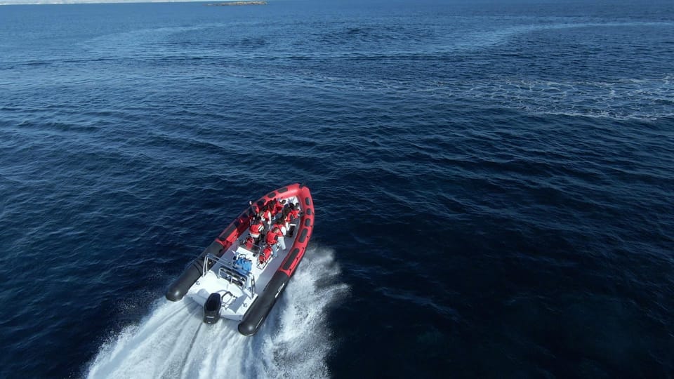 Alcudia: 2-Hour Sightseeing Speedboat Tour with Snorkeling - Should you book this Alcudia 2-hour sightseeing speedboat with snorkeling?