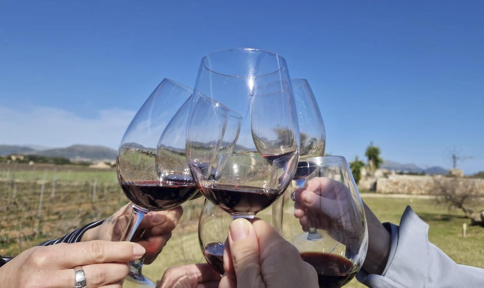 Alcúdia/Can Picafort: Guided Vineyard Visit and Wine Tasting - Key highlights