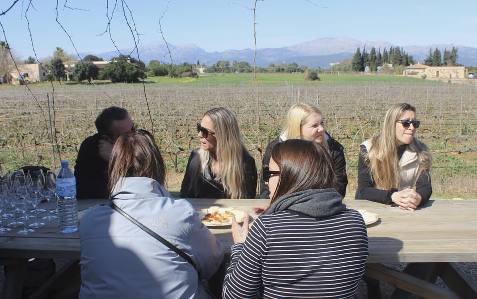 Alcúdia/Can Picafort: Guided Vineyard Visit and Wine Tasting - The Tasting of Five Wines: What You Should Pay Attention To