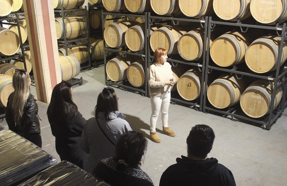Alcúdia/Can Picafort: Guided Vineyard Visit and Wine Tasting - Local Nibbles and Take-Home Bottles at Special Prices