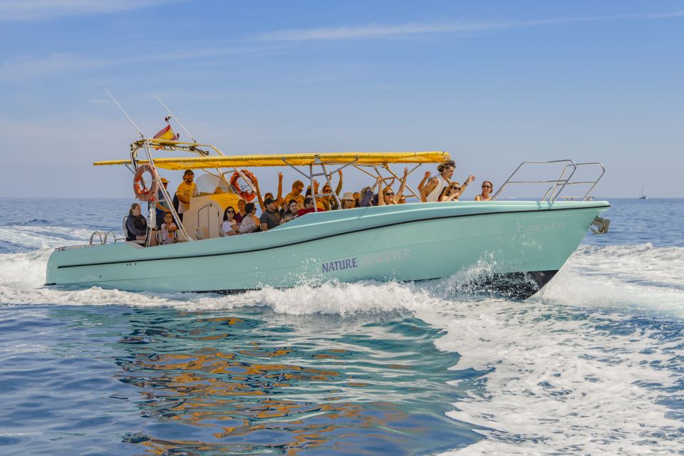 Alcudia: Coll Baix Beach & Sea Caves Cruise with Snorkeling - Key highlights worth showing up for