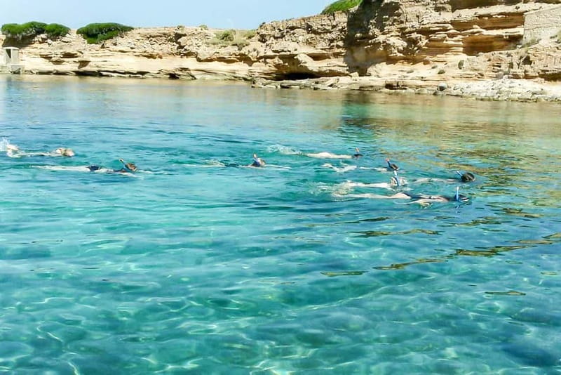 Alcudia: Formentor Beach, Lighthouse Cruise, and Small Group - What You’ll Actually Do During the 4 Hours