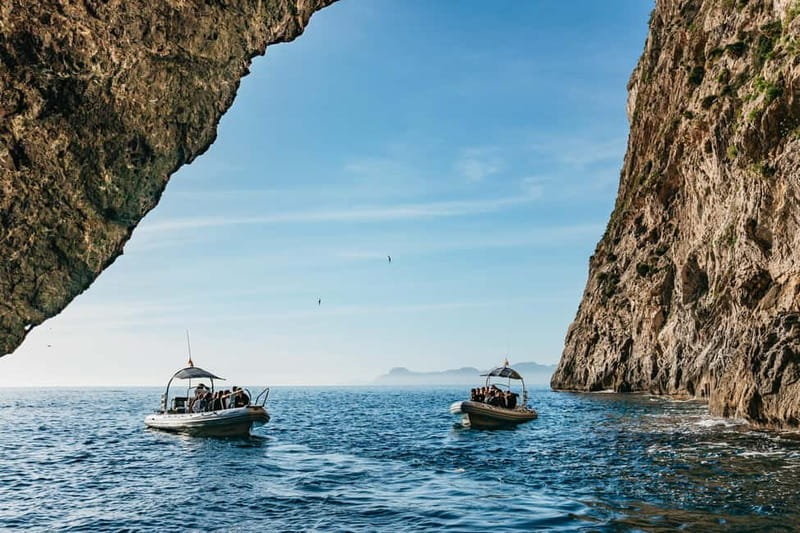 Alcudia or Can Picafort: Dolphin-Watching Cruise - Key highlights you’ll remember