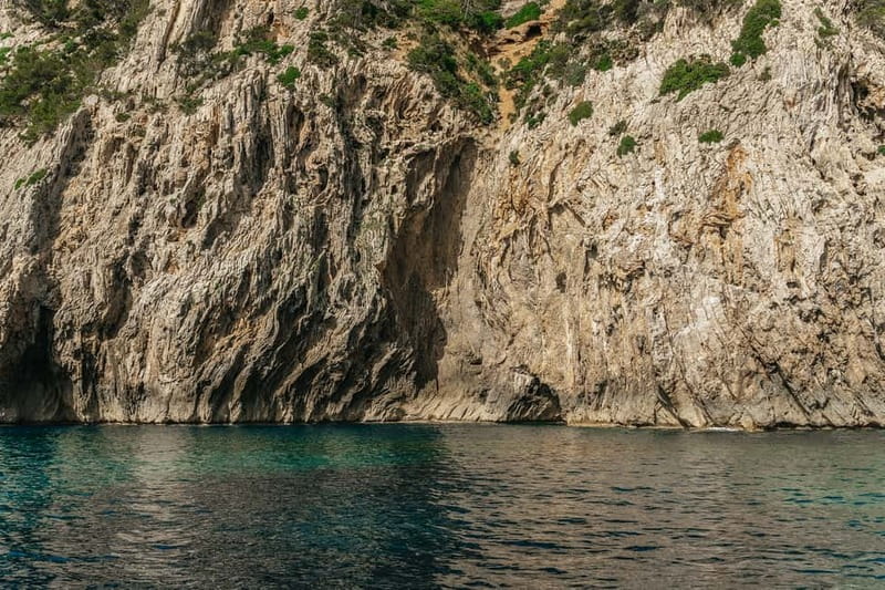 Alcudia or Can Picafort: Dolphin-Watching Cruise - Is $91 a fair price for this dolphin and caves mix?