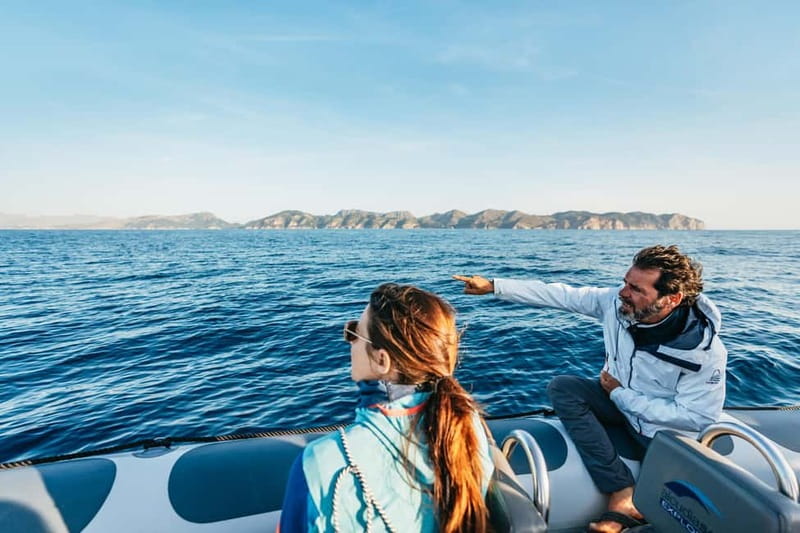 Alcudia or Can Picafort: Dolphin-Watching Cruise - Where this cruise actually starts: Alcudia Sea Explorer and optional hotel pickup