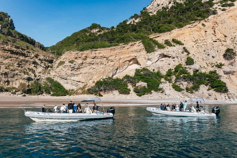 Alcudia or Can Picafort: Dolphin-Watching Cruise - Dolphin-spotting on a small fast boat: what to expect when you’re close