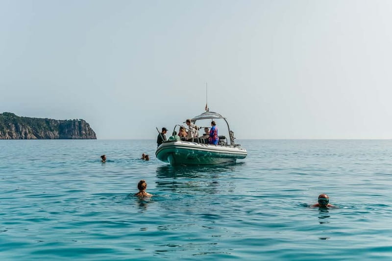 Alcudia or Can Picafort: Dolphin-Watching Cruise - Sea caves: how the coastal route adds variety beyond wildlife watching