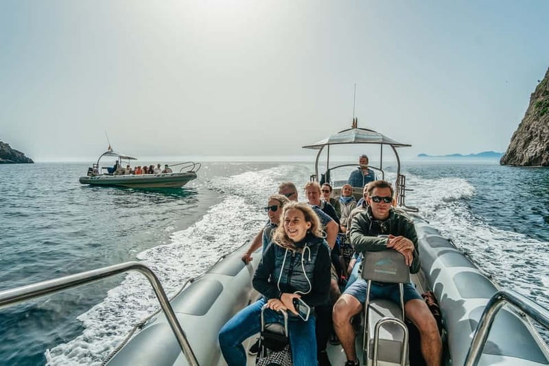 Alcudia or Can Picafort: Dolphin-Watching Cruise - Es Coll Baix swim stop: the reason this cruise feels more than a tour