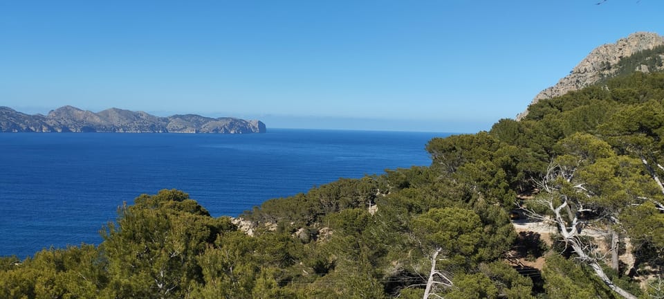 Alcudia: Quad Sightseeing Tour with Viewpoints - The 2-hour timing: enough time for views, not enough for boredom