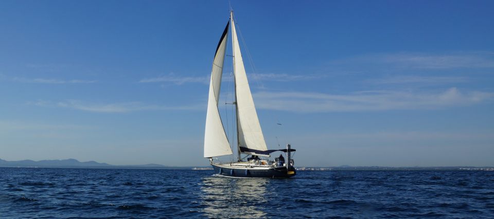 Alcudia: Sailing Yacht Excursion with Wine & Tapas - Getting to the Boat: Bonaire or Cocodrilo, and One Phone Call