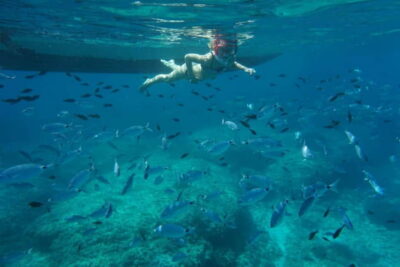 Alcudia: Sea Caves Coves and Snorkeling in small groups - Cap Ferrutx cliffs: the first big scenery hit