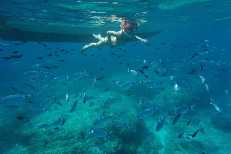 Alcudia: Sea Caves Coves and Snorkeling in small groups - Cap Ferrutx cliffs: the first big scenery hit