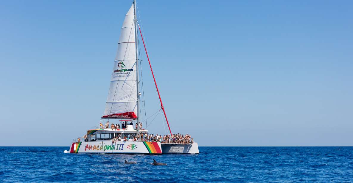 Alcudia: Sunset Catamaran Tour with Dinner and Snorkeling - Where This Catamaran Fits in Your Mallorca Plan