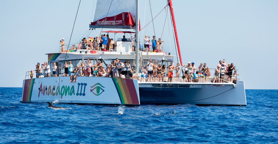 Alcudia: Sunset Catamaran Tour with Dinner and Snorkeling - Sailing North of Mallorca: Panoramic Views, Then Real Sea Time