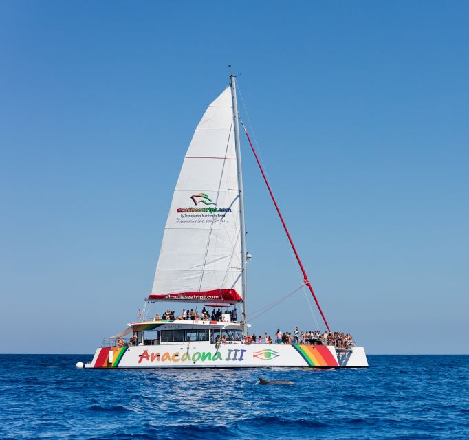Alcudia: Sunset Catamaran Tour with Dinner and Snorkeling - The Main Break: A Quiet Cove for 1.5 Hours