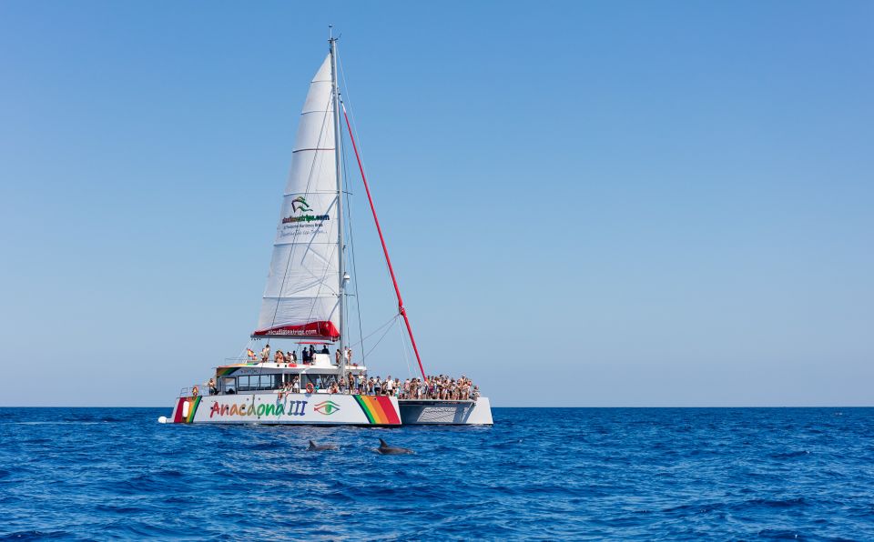 Alcudia: Sunset Catamaran Tour with Dinner and Snorkeling - Getting to the Boat: Cruceros Brisa in Alcúdia
