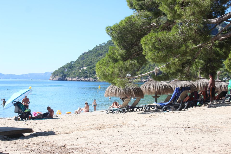Alcudia: Trip to Formentor Beach - Formentor Beach Time: White Sand, Pine Shade, and a Crowd You’ll Want to Work With