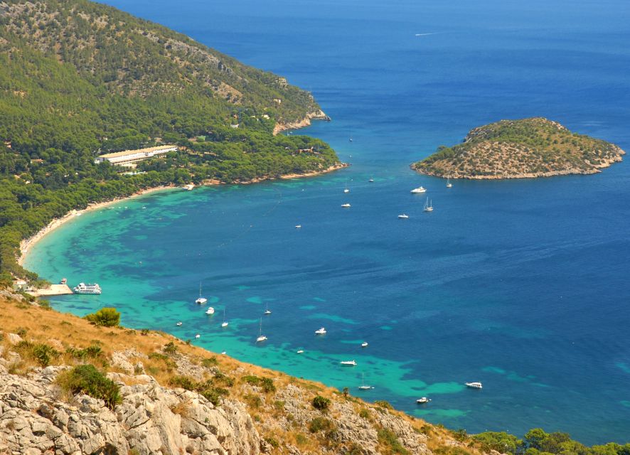 Alcudia: Trip to Formentor Beach - On-Board Comfort, the Bar, and What to Bring from Day One