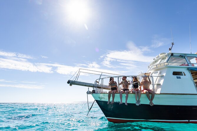 Boat Tour 2 hour in Palma Bay - On Board the Superman Boat: Seating, Comfort, and the Onboard Vibe