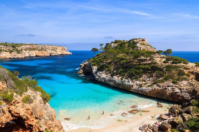 Boat tour from Cala Figuera to Caló del Moro and S´Almonia - On-board experience: small-group pace, real skipper skill