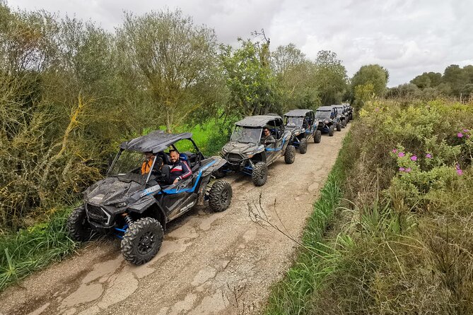Buggy 2-seater and 4-seater Off-On Road Tour in Mallorca - Getting to the start near Platja de Palma (so you’re not stressed)