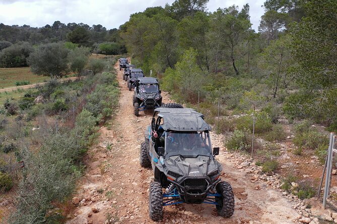 Buggy 2-seater and 4-seater Off-On Road Tour in Mallorca - The 30-minute 542m viewpoint: what to do at the top