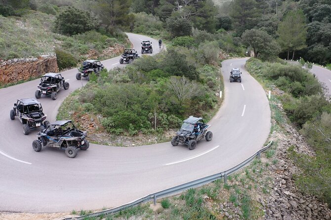 Buggy 2-seater and 4-seater Off-On Road Tour in Mallorca - Price and value: is $289.64 per group a fair trade?