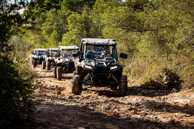 Buggy 2-seater and 4-seater Off-On Road Tour in Mallorca - Randa, Sant Jordi, and the quiet countryside stretch before the off-road