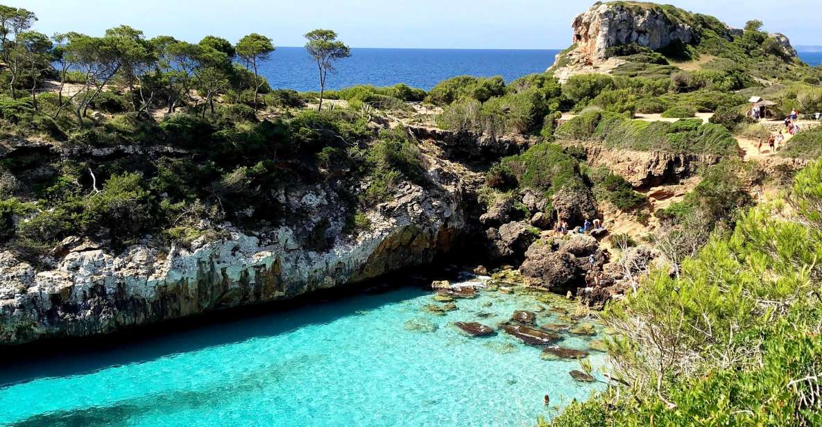 Cala des Moro/S'Almunia: Snorkel and SUP Tour - Key takeaways
