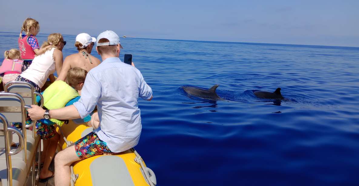 Can Picafort: Dolphin Watching Boat Tour with Swimming - Key highlights you’ll feel right away