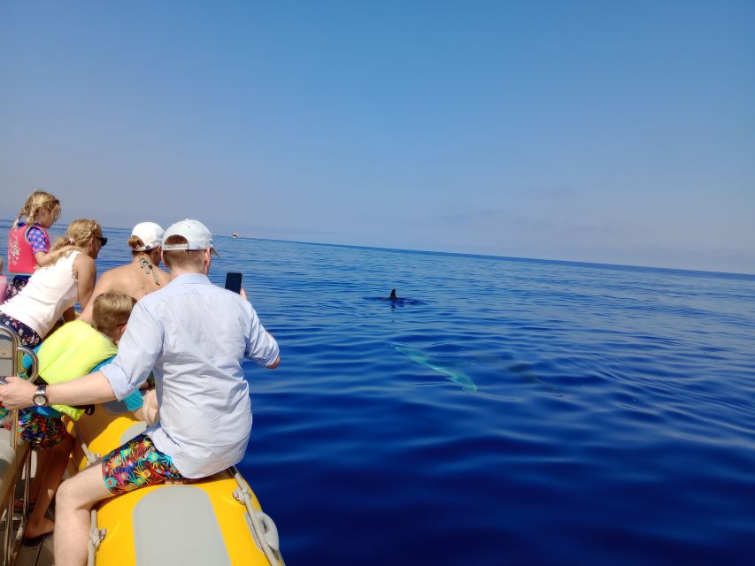 Can Picafort: Dolphin Watching Boat Tour with Swimming - Should you book this dolphin watching boat tour with swimming?