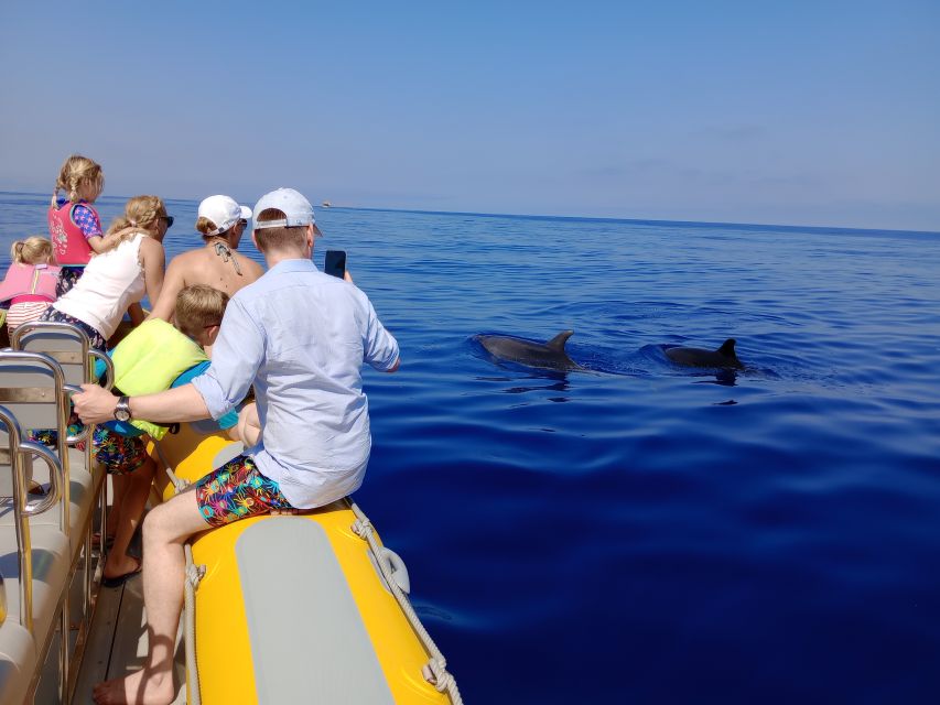 Can Picafort: Dolphin Watching Boat Tour with Swimming - Following the coast: Cap de Formentor views and dolphin-spotting strategy