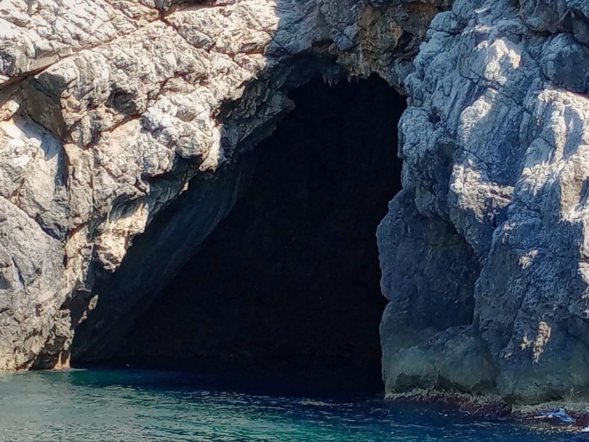 Can Picafort: Dolphin Watching Boat Tour with Swimming - Swimming and snorkeling: when it happens, and what to plan for