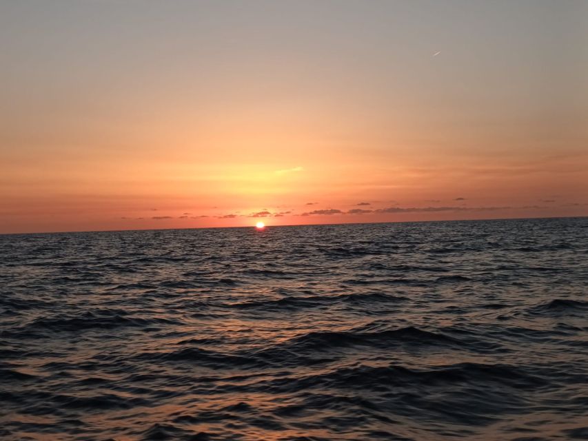 Can Picafort: Dolphin Watching Boat Tour with Swimming - Who should book this dolphin tour (and who should skip it)