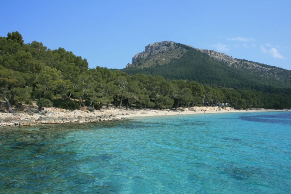 Cap de Formentor: Market, Beach, and Alcudia Tour - Pickup and timing: what can feel smooth, and what can trip you up