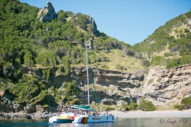 Catamaran Cruise from Port d'Alcudia with Lunch and Swim Stop - Coll Baix (Platja Des Coll Baix): The Quick Anchor Swim
