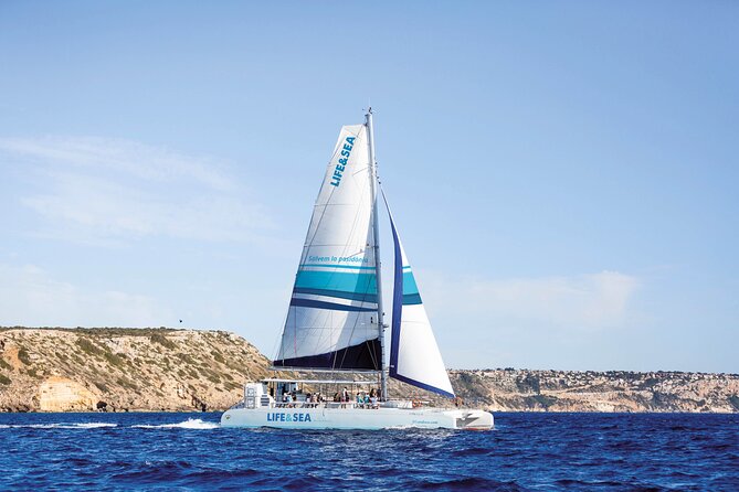 Catamaran with BBQ in the Bay of Palma - Key highlights at a glance