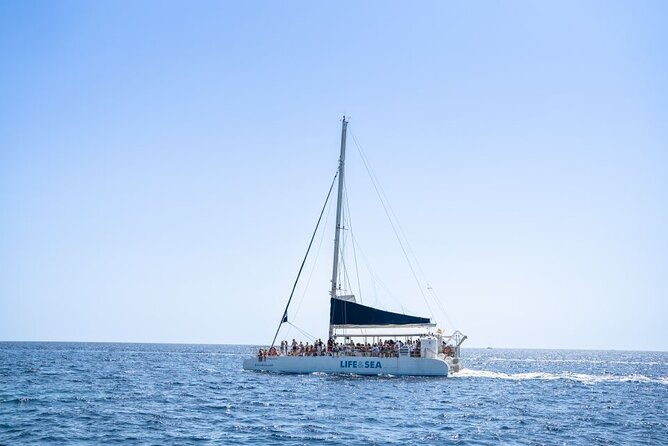 Catamaran with BBQ in the Bay of Palma - Swim and snorkel stops: ladders, hammocks, and realistic expectations