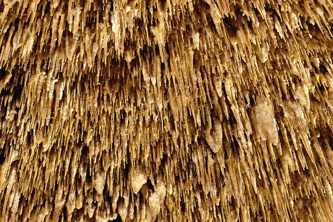 Caves of Drach Half-Day Tour with Boat Trip and Music Concert - Guide onboard: what you should look for during the ride