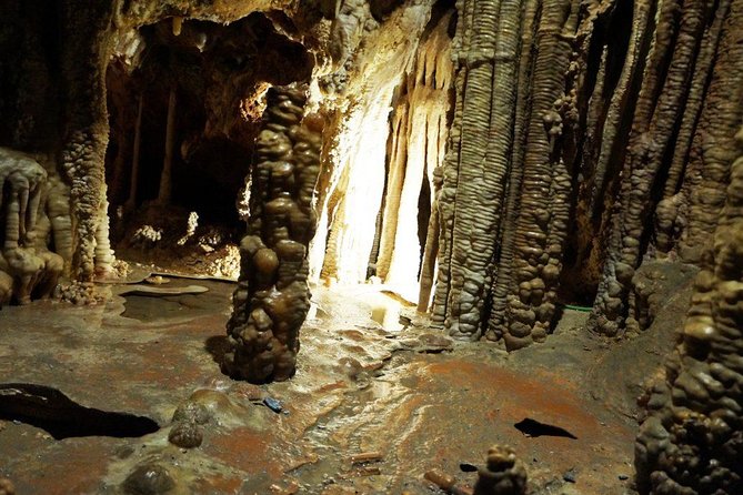 Caves of Genova Admission in Palma de Mallorca - One Stop, Simple Flow: What the Cave Visit Feels Like
