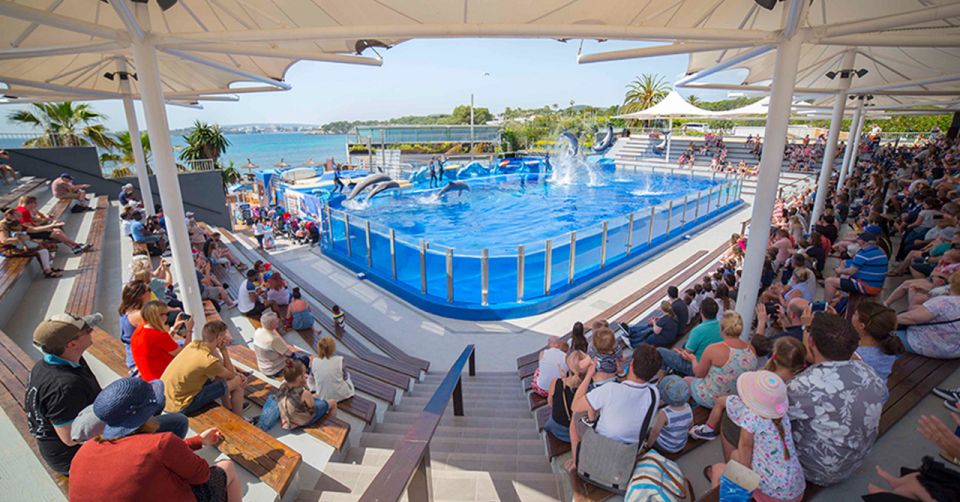 Costa d'en Blanes: Entry Ticket for Marineland Mallorca - The daily show lineup: dolphins, sea lions, and birds