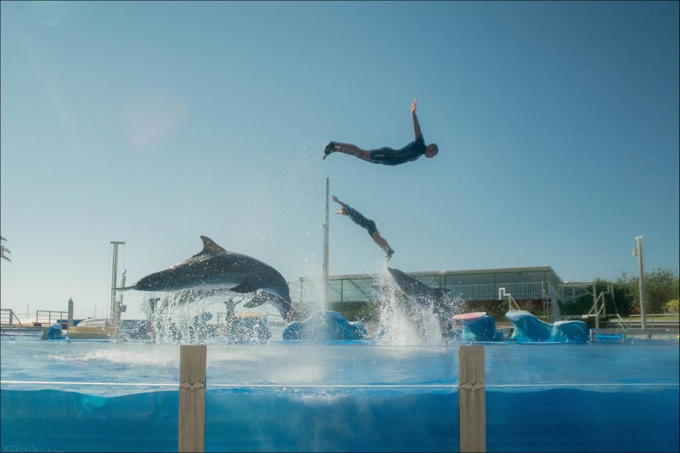 Costa d'en Blanes: Entry Ticket for Marineland Mallorca - How long to plan: you can do it in a half-day, if you time it well