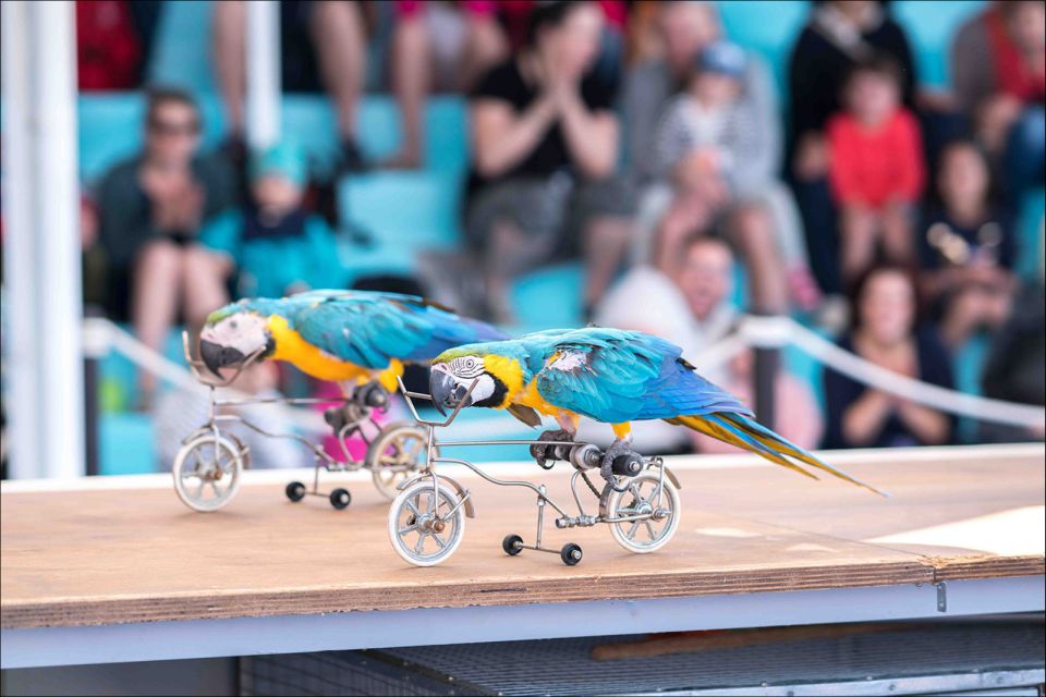 Costa d'en Blanes: Entry Ticket for Marineland Mallorca - Price and value: is $35 worth it?