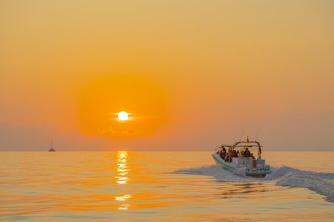 Dolphin watching by boat - Stop: Cap de Formentor and the Dolphin Watching Moment