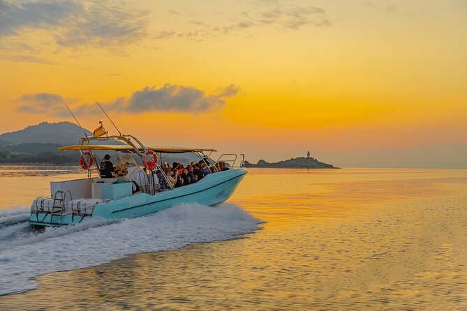 Dolphin watching by boat - What You’ll Love Most: Crew Energy, Clear Guidance, and a Calm Flow