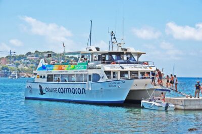 Dolphin Watching in Mallorca (Paguera) - Off Peguera: How the Dolphin Search Actually Feels