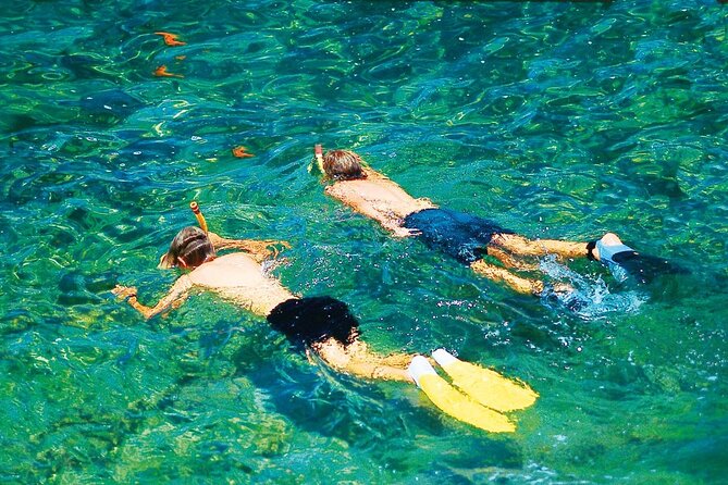 Dolphin Watching in Mallorca (Paguera) - Sailing Past Cala Fornells: The Coastal Bonus