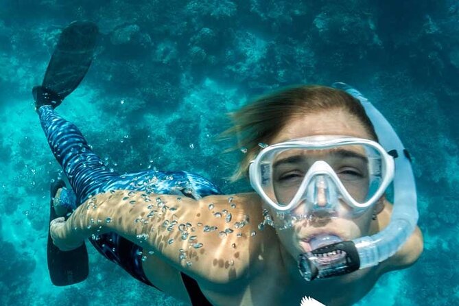 Dolphin Watching in Mallorca (Paguera) - Snorkeling Gear: Bring Yours or Budget for the €20 Deposit