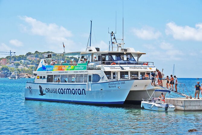 Dolphin Watching in Mallorca (Paguera) - Off Peguera: How the Dolphin Search Actually Feels